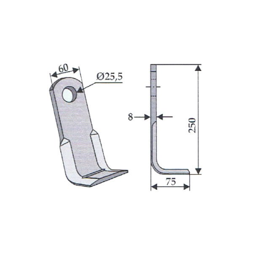 FEI-03.png